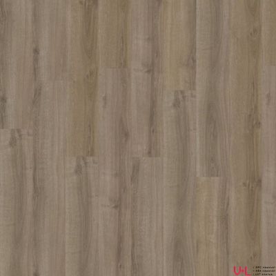 SPC ламинат Adelar Eterna Acoustic Summer Oak / Дуб Летний 05859 купить на vinyl-laminat.ru