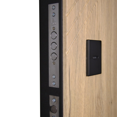 Стальная дверь   Эдинбург с зеркалом (биометрический замок)