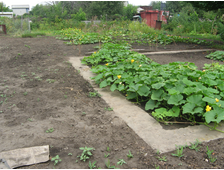 Земельный участок Расловка-1, 5 соток, садоводчество