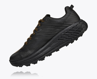 Кроссовки HOKA SPEEDGOAT 4 M GTX 1106530-ADGG (Размеры: US 11,5-29.5см)