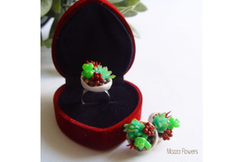 Комплект "Загадочные суккуленты"