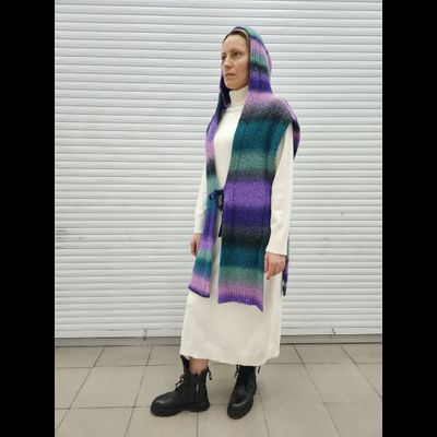 Жилет с капюшоном Vizio 1056 MS разноцветный