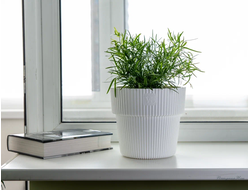 Горшок с дренажной системой Алемар VipSet 8,2 л белый