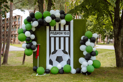 Оформление детского дня рождения в футбольном стилей "№ 1459