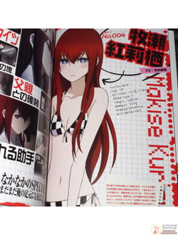 Оригинальный Арт Бук Steins;Gate Soushisouai no True Memories (Врата; Штейна)