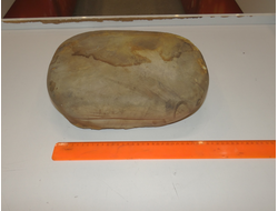 Поролон сиденья мотороллер ТГА 200