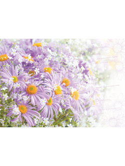 Фотообои "Чудное мгновение"