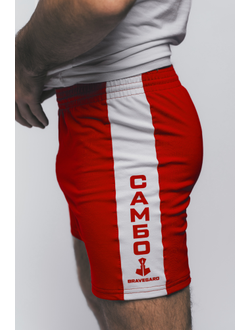 Шорты для самбо ВФС BRAVEGARD Ascend красные