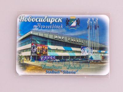 Гибкий сувенирный магнит на холодильник 8х6 см. с фото Новосибирского ЛДС Сибирь