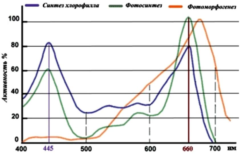 Профиль спектров света, усваиваемых растениями.