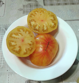 Семена томата План 9 из открытого космоса