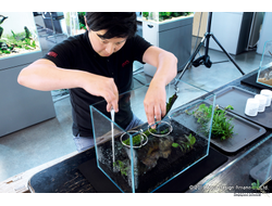 Chihiros Wabi-Kusa Hanger - набор держателей для Ваби-куса или горшков (3шт)