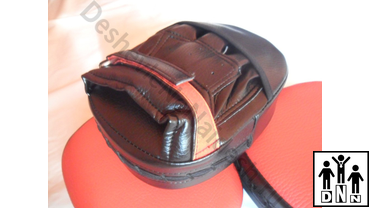 Боксёрские лапы / тайские пэды