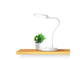 Настольная лампа Xiaomi COOWOO U1 Smart Table Lamp