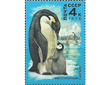 4794. Животный мир Антарктики. Императорский пингвин