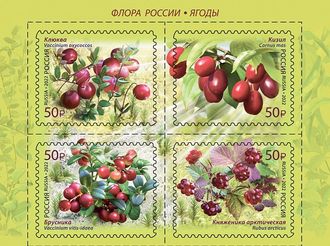 М-2884-2887	марка «Флора России. Ягоды»