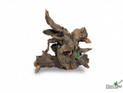 SwetAqua Chinese Sunken XS - Натуральная коряга "Китайская затонувшая" XS 15-30 см