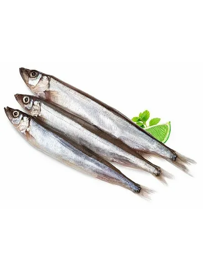 МОЙВА СВЕЖЕМОРОЖЕНАЯ Сахалин.