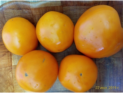 Томат Подарок солнца