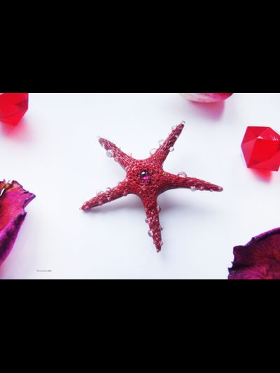 Морская брошь "Звезда ундины"