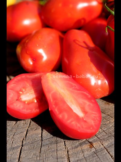 Томат Джуаджито (Guajito), 7 шт