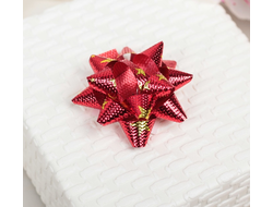 Бантик ассорти (бант подарочный 3*3см)