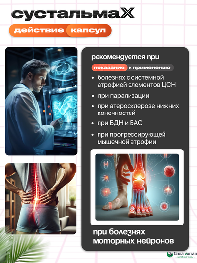 Сустальмакс: нейронные связи и здоровье вен