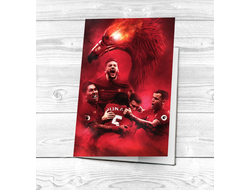 Обложка на паспорт Ливерпуль, Liverpool FC №6