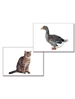 Дидактическое пособие "Домашние животные" (24 карт., А4, ламинир.)