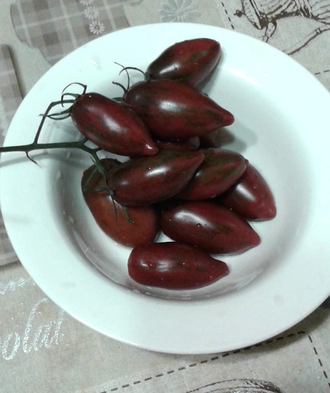 Семена томата Фиолетовый изумруд