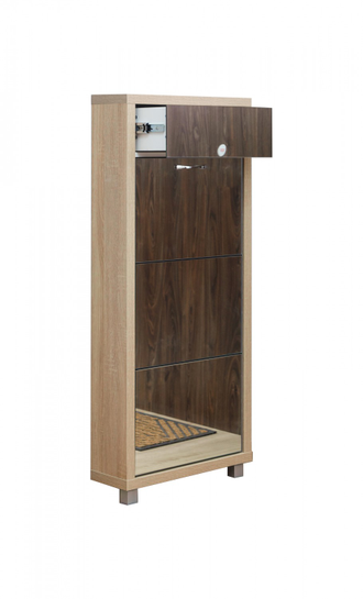 Обувница Айрон-3 Плюс (фасад Зеркало)