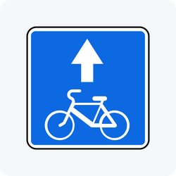 Дорожный знак 5.14.2 Полоса для велосипедистов