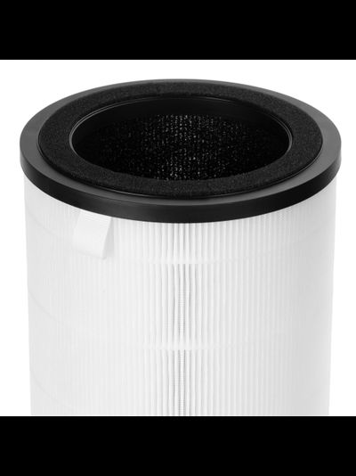 Фильтр Electrolux FAP-2050 ANTI DUST