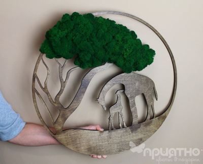 ЖИВАЯ ЭКО-КАРТИНА 1017