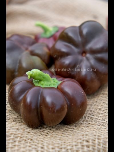 Перец сладкий Паприка Чоколейт, 10 шт