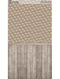 Фотофон «Эльва»