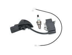 modul-zazhiganiya-bg-sh-86