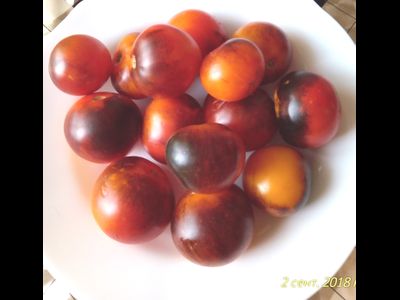 Томат Голубой ананас (Ananas blue)