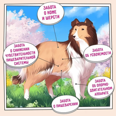ZILLII Adult Dog Sensitive Digestion, Корм сухой для собак с чувствительным пищеварением, гипоаллергенный, Индейка 15 кг