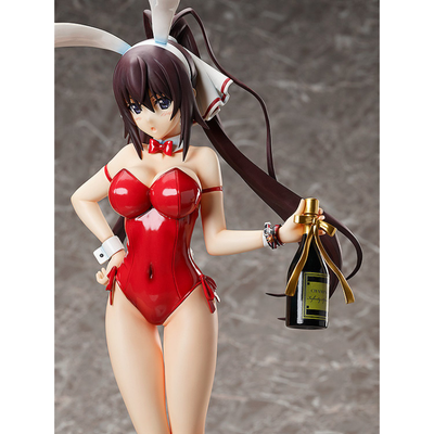 Фигурка 1/4 Хоки Синононо (Houki Shinonono Bare Leg Bunny Ver.)