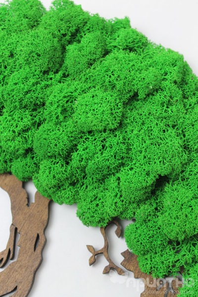 ЖИВАЯ ЭКО-КАРТИНА 1025