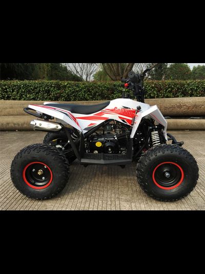 Детский квадроцикл Motax GEKKON 90cc