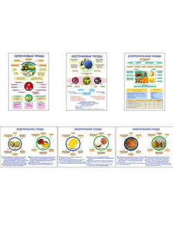 Плакаты ПРОФТЕХ "Плоды" (6 пл, винил, 70х100)