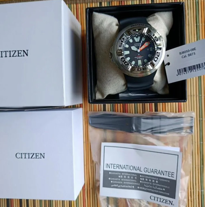 Наручные часы Citizen BJ8050-08E