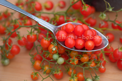 Томат ампельный Сотни и тысячи (100 и 1000), 10 шт.