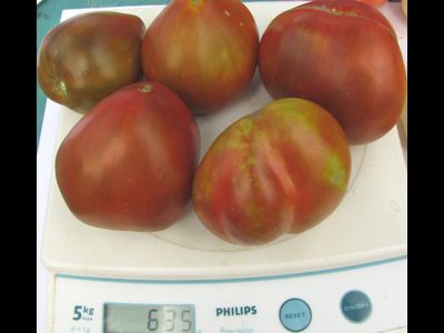 Томат Заржавевшее сердце Эверета (Everett's Rusty Oxheart)