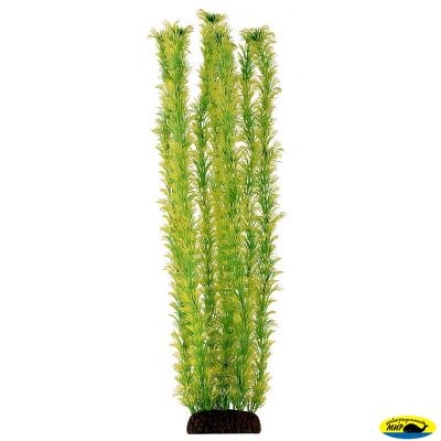 Ар1245 5573Р Растение пласт 55см желто-зеленое Амбулия