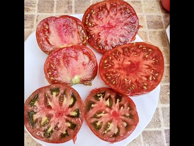 Томат Красавчик папа (Hunk papa)