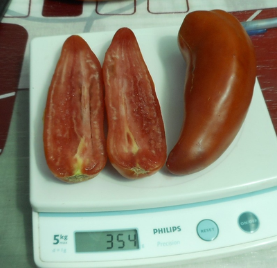 Томат Сибирский казак