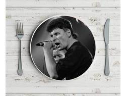 Тарелка Сектор Газа, Юрий Хой №7